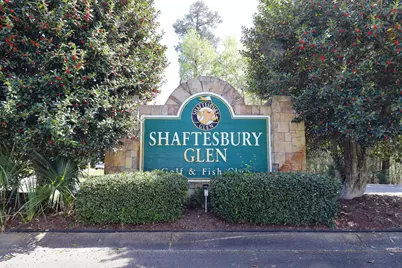 507 Whiddy Loop, Conway, SC 29526 - Photo 43