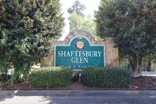 507 Whiddy Loop, Conway, SC 29526 - Photo 43