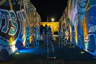 507 Whiddy Loop, Conway, SC 29526 - Photo 63