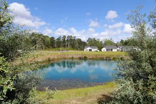 507 Whiddy Loop, Conway, SC 29526 - Photo 19