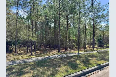 113 Pineberry Dr., Georgetown, SC 29440 - Photo 3