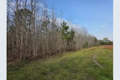 Tbd Hubcap Rd., Kingstree, SC 29556 - Photo 5