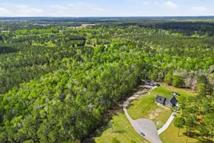 410 Miracle Ct, Andrews, SC 29510 - Photo 47