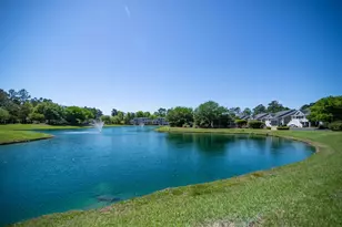 1125 Blue Stem Dr, Pawleys Island, SC 29585 - Photo 31
