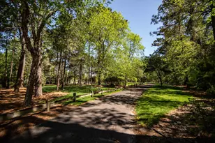 1125 Blue Stem Dr, Pawleys Island, SC 29585 - Photo 37