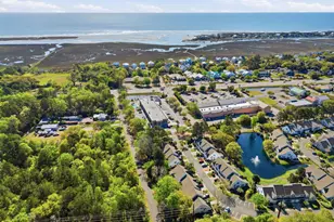 14 Pawleys Pl Dr, Pawleys Island, SC 29585 - Photo 47