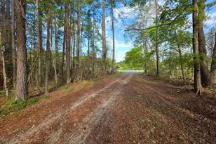 11091 Hwy 707, Murrells Inlet, SC 29576 - Photo 37