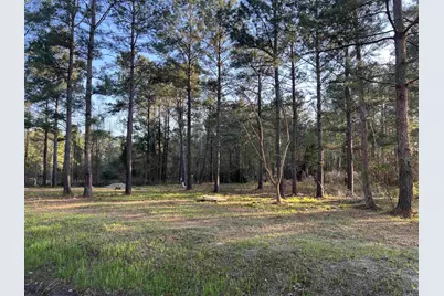 2108 Lees Landing Circle, Conway, SC 29526 - Photo 3