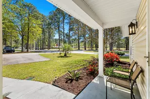 6524 White Heron Crescent, Myrtle Beach, SC 29588 - Photo 3