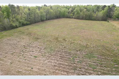 13.32 Ac - 1014 W Highway 378 Bypass, Lake City, SC 29560 - Photo 5