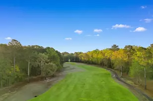 668 Tupelo Ln, Longs, SC 29568 - Photo 31