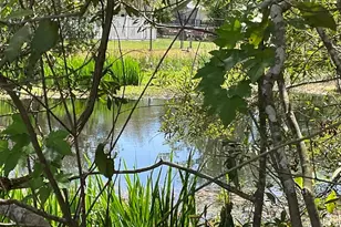 4311 Bradford Cir, Myrtle Beach, SC 29588 - Photo 29