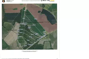 Tbd Tract 2 Trinidad Ard Rd, Coward, SC 29530 - Photo 1