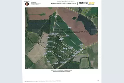 Tbd Tract 6 Trinidad Ard Rd, Coward, SC 29530 - Photo 1