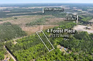 0 Forest Pl, Marion, SC 29571 - Photo 1