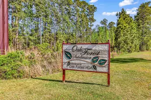 2947 Temperance Dr, Myrtle Beach, SC 29577 - Photo 25