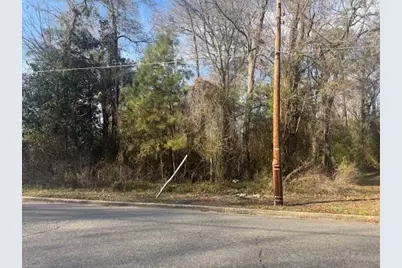 Near 217/Tbd East Clay St., Whiteville, NC 28472 - Photo 3