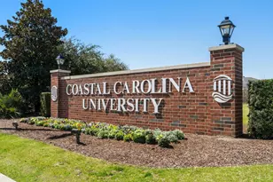 115 Wofford Rd, Conway, SC 29526 - Photo 45