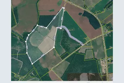 Tbd 50.5 Ac Off Union School Rd., Coward, SC 29530 - Photo 1