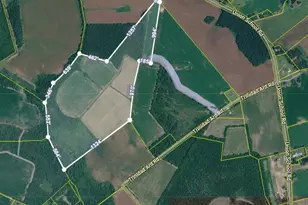 Tbd 50 5 Ac Off Union School Rd, Coward, SC 29530 - Photo 1