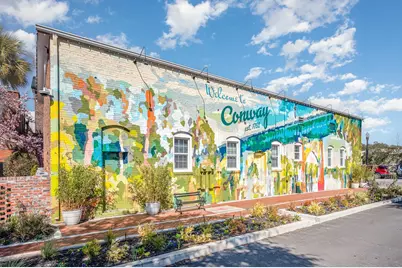 3300 Little Bay Dr., Conway, SC 29526 - Photo 5