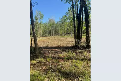 Tbd Pauley Swamp Rd., Conway, SC 29527 - Photo 1