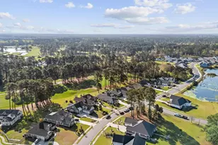 1700 Wood Stork Dr, Conway, SC 29526 - Photo 33