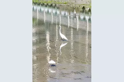 101 Ocean Creek Dr. #NN-10, Myrtle Beach, SC 29572 - Photo 21