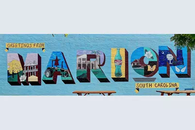 2208 Alma Ct, Marion, SC 29571 - Photo 59