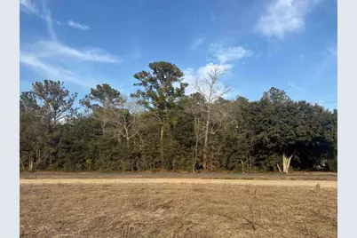 120 Rough Horn Rd, Evergreen, NC 28438 - Photo 3