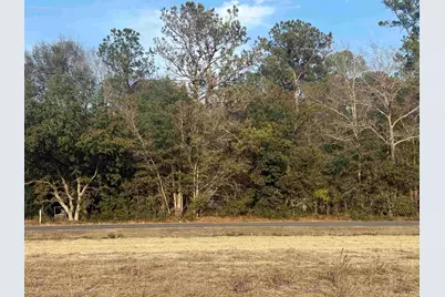 120 Rough Horn Rd, Evergreen, NC 28438 - Photo 1