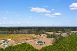 2537 Hugo Rd, Conway, SC 29527 - Photo 39