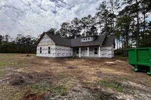 5316 Pauley Swamp Rd, Conway, SC 29527 - Photo 3