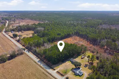 Gibson Rd., Greeleyville, SC 29056 - Photo 3