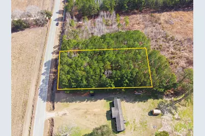 Gibson Rd., Greeleyville, SC 29056 - Photo 1