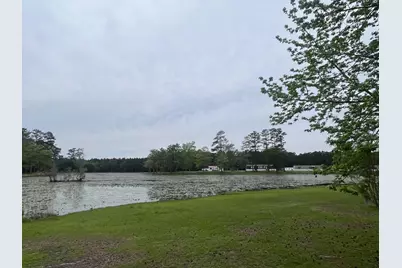 233 Williamson Lake Circle, Conway, SC 29526 - Photo 77