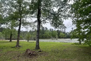 233 Williamson Lk Cir, Conway, SC 29526 - Photo 83