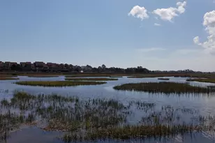 601 Retreat Beach Cir, Pawleys Island, SC 29585 - Photo 37