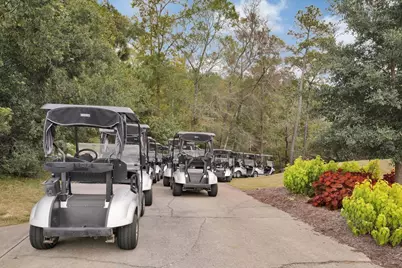 1050 Cherrystone Loop, Conway, SC 29526 - Photo 33