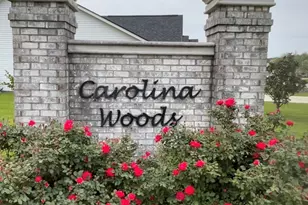 465 Carolina Woods Dr, Myrtle Beach, SC 29588 - Photo 51