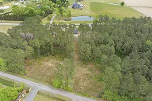 3679 Nichols Hwy, Galivants Ferry, SC 29544 - Photo 35