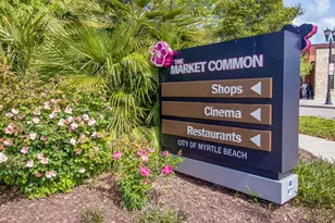 1696 Essex Way, Myrtle Beach, SC 29577 - Photo 79