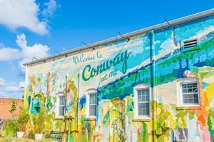 1627 Norris Rd, Conway, SC 29526 - Photo 95