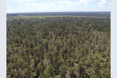 Tbd Georgetown Hwy., Andrews, SC 29510 - Photo 9