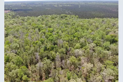 Tbd Georgetown Hwy., Andrews, SC 29510 - Photo 11
