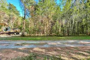 Tbd Beth Dr, Conway, SC 29527 - Photo 1