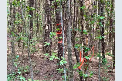 Tbd Beth Dr., Conway, SC 29527 - Photo 11