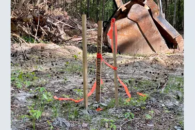 Tbd Beth Dr., Conway, SC 29527 - Photo 7