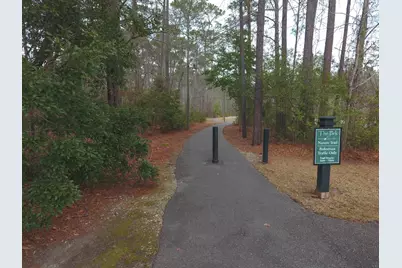 148 Splendor Circle, Murrells Inlet, SC 29576 - Photo 43