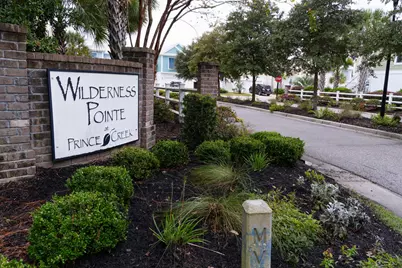 148 Splendor Circle, Murrells Inlet, SC 29576 - Photo 43